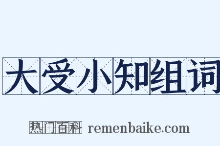 大受小知组词是什么意思的图片